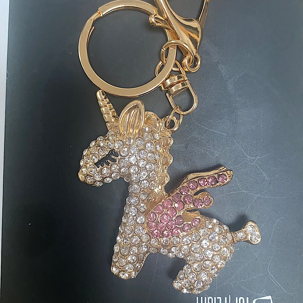 Keychains/ Leas and nickel safe